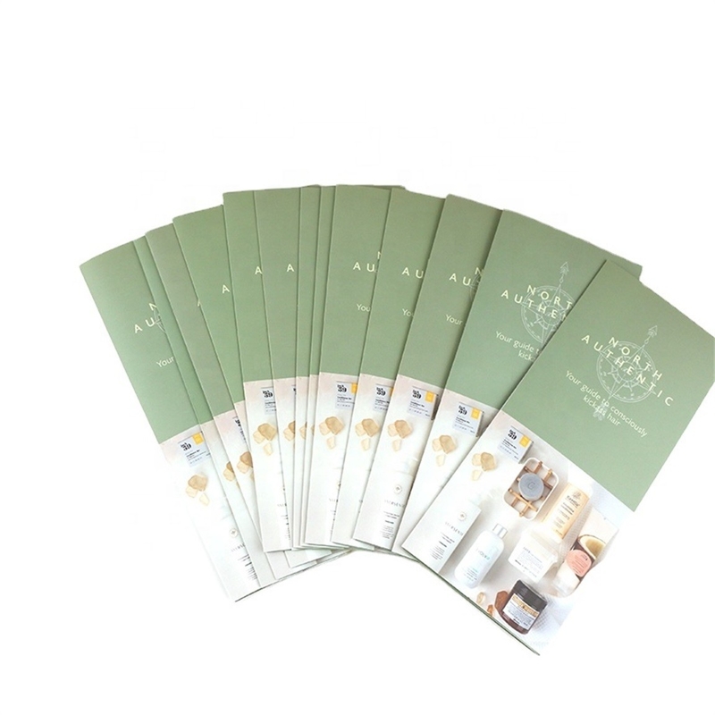 Folded Flyer Brochure Printing Services A3 A4 A5 Advertising CMYK Pantone